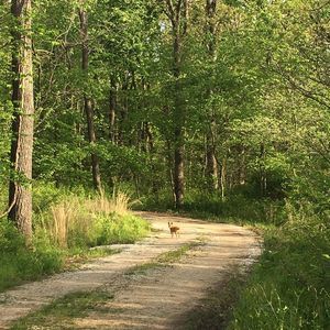Meet your Posher, Shelly